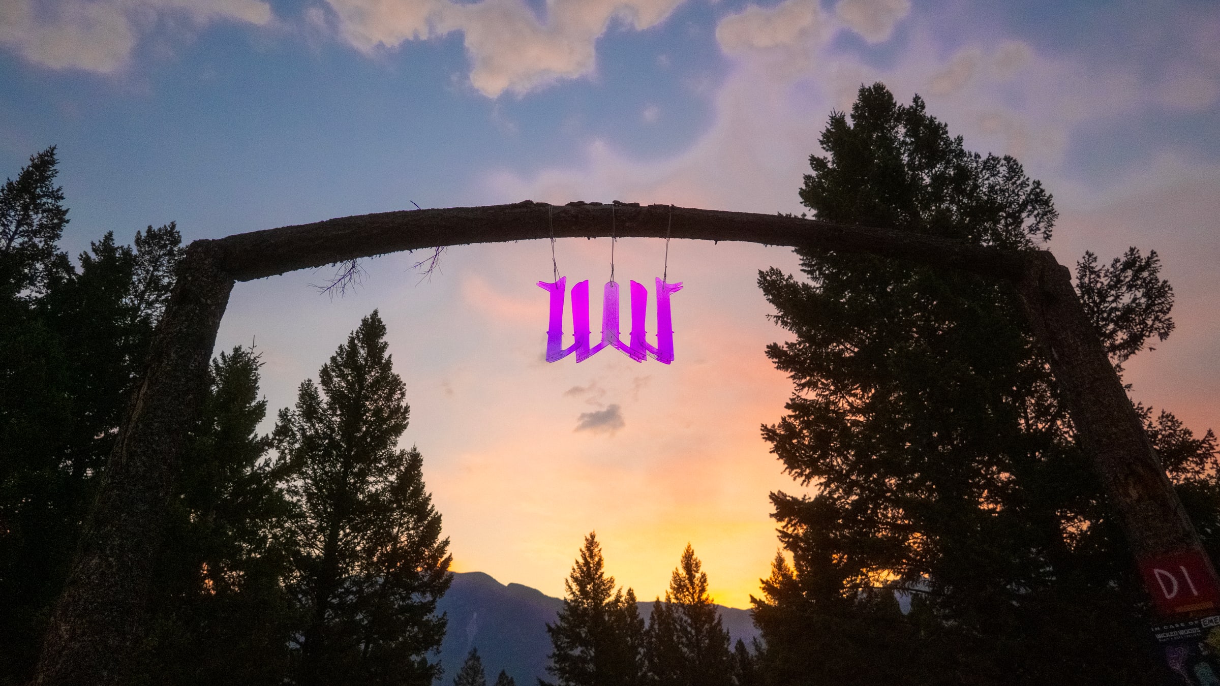 Festival guests gathered on a hillside at sunset.